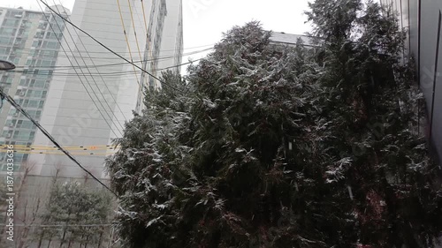 winter and korea