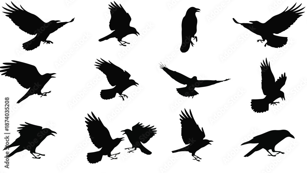 Obraz premium Black Silhouettes of Ravens and Crows in Flight and Perching Action