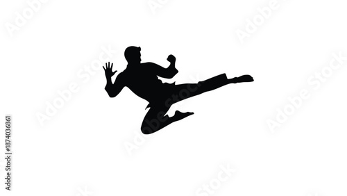 Dynamic silhouette of a martial artist performing a powerful jumping kick