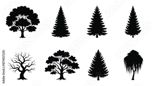 Diverse tree silhouettes collection: evergreen, deciduous, and bare trees