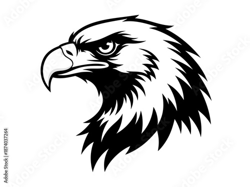 Black and White Vector Illustration of a Fierce Eagle Head, Majestic Bird of Prey Symbol