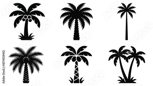 Set of diverse black palm tree silhouettes and icons on white background