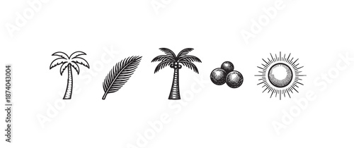A vintage-style collection of black and white line art illustrations featuring palm trees, a palm frond, coconuts, and a radiant sun on a white background.