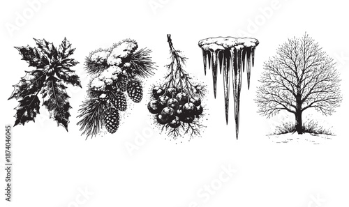 A collection of hand-drawn black and white illustrations featuring iconic winter nature elements like holly, pine cones, berries, icicles, and a bare tree, perfect for seasonal designs.