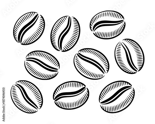 Black and white hand drawn coffee beans scattered a white background seed arabica