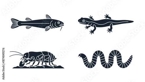 Illustration of various animals including fish, lizard, beetle, and worm in a graphic style