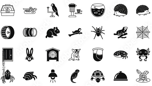 Exotic pets and small animal care icons set with hamster parrot turtle spider and lizard