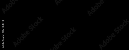 Digital Marketing Strategy and SEO Analytics Infographic with Data Charts Social Media and Conversion Optimization