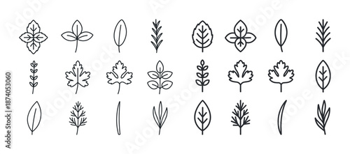 Collection of minimalist leaf icons: simple botanical line art designs