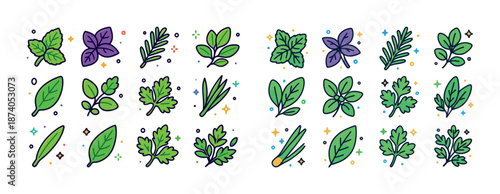 Vector collection of colorful herb icons featuring basil mint and parsley illustrated with vibrant colors