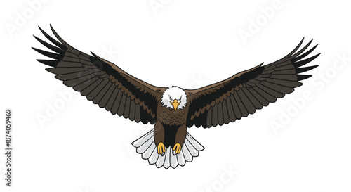 Majestic bald eagle in flight with its powerful wings spread wide against a plain white background shown from the front.