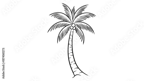 Simple Black and White Palm Tree Illustration with Coconuts and Curved Trunk