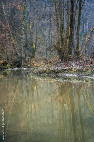 Forest river with reflection of trees and hoarfrost.