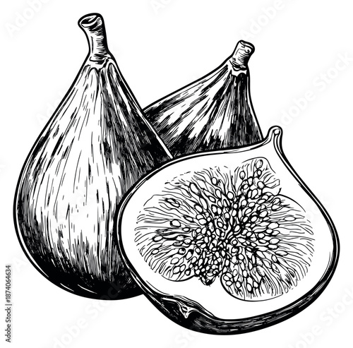 Hand drawn line art fruit set featuring whole and sliced figs for healthy eating concepts