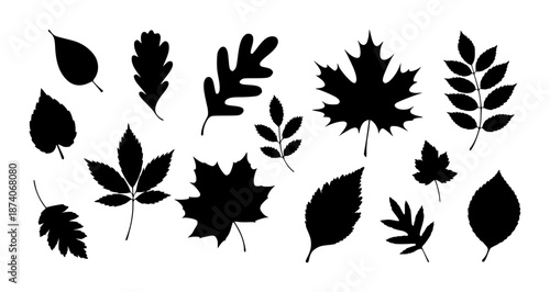 Collection of black silhouette autumn leaves white background leaf fall