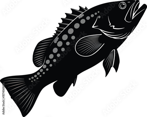 Predator Fish Detailed Black Vector Illustration