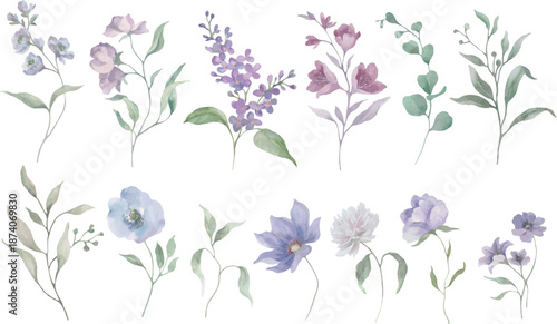 
Delicate watercolor set with spring flowers and botanical elements in soft pastel tones. hand drawn illustration. Vector EPS..