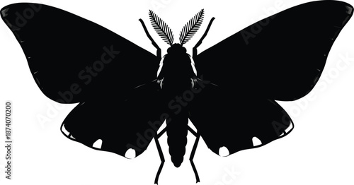 Moth Silhouette Insect Black Vector Illustration