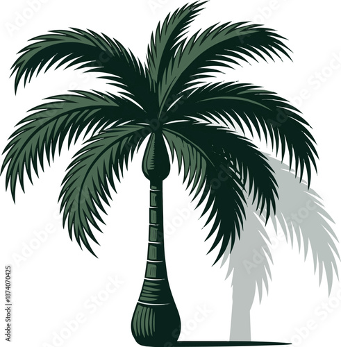 Create a realistic Cut out large tropical palm tree with shadow vector art with white background. 