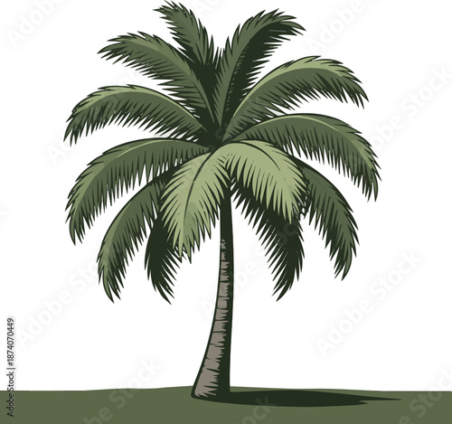 Create a realistic Cut out large tropical palm tree with shadow vector art with white background. 