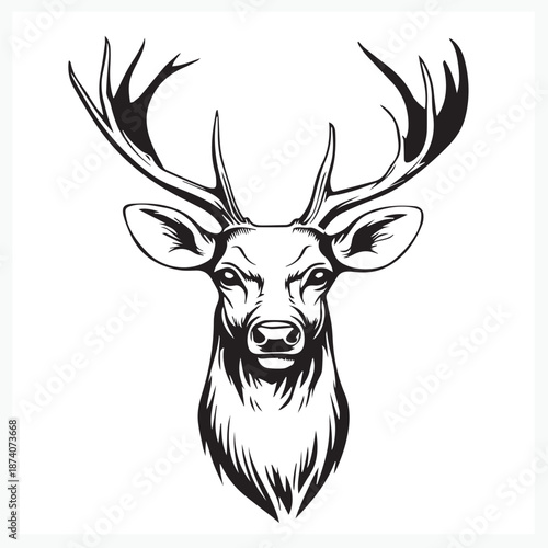 deer head vector illustration