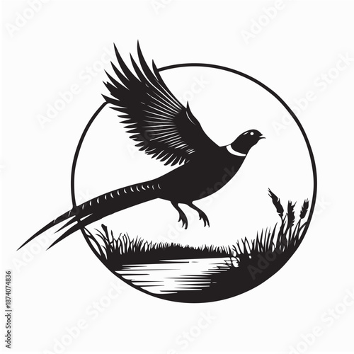 Beauty Flying Pheasant Bird Over the Grass Silhouette Vector on White Background