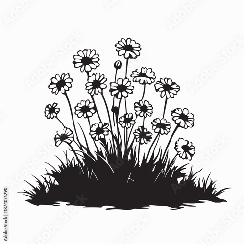 Cheerful Chamomile Flowers Growing in Grassy Image Vector