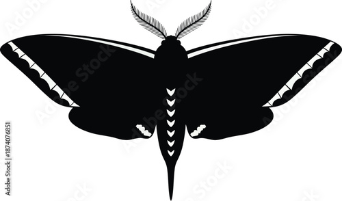 Moth Top View Silhouette Black Vector Illustration