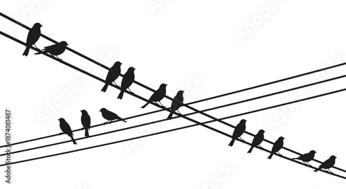 Minimalist black silhouettes of a flock of birds perched on two intersecting telephone wires against a clean white background.