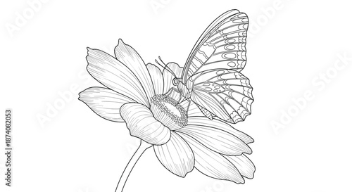 Highly detailed black and white line art illustration of a butterfly pollinating a large flower for a coloring book.