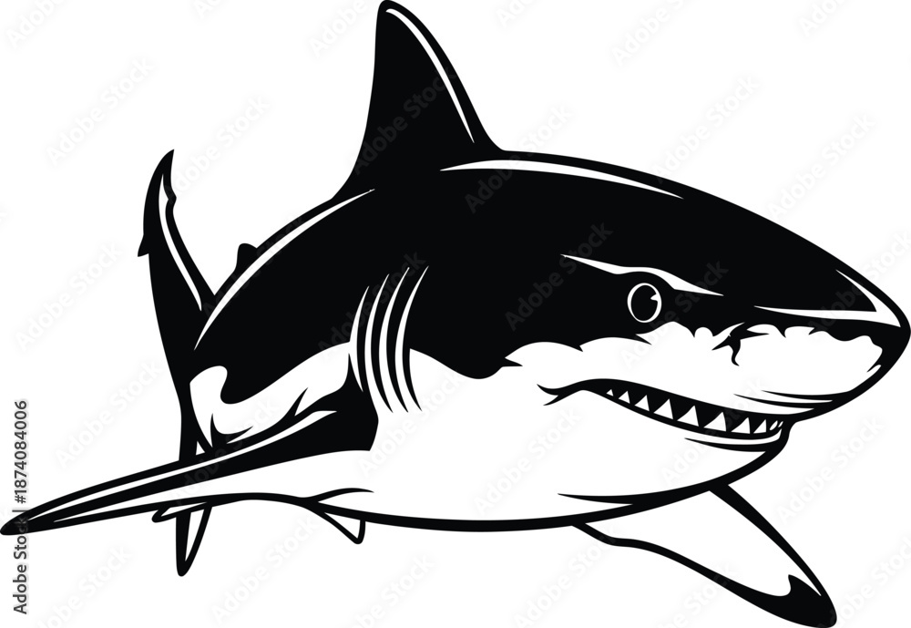 Obraz premium Shark Predator Fish Black and White Vector Illustration