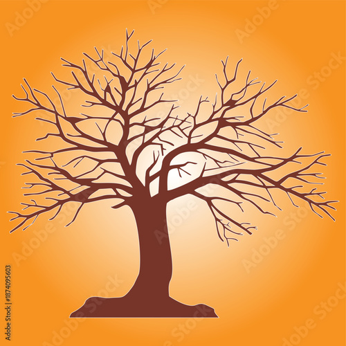  trees and branches without leaves, Old dry tree empty tree branches tree autumn weather