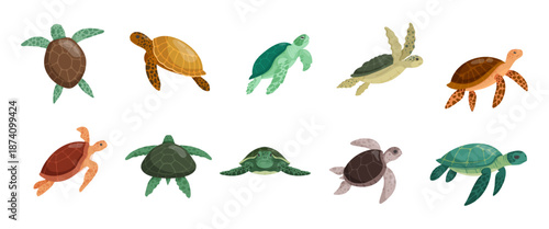 Swim green turtle. Swimming tortoise reptile sea animal in shell, cartoon big turtles leatherback loggerhead galapagos species underwater wild life, kicky vector illustration