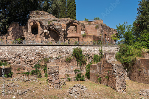 Photography Italy - Rome - Palatine Hill - Ancient Roman ruins with brick walls, arches, and vegetation covering the archaeological palace remains