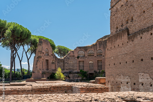 Slika na platnu Italy - Rome - Domus Severiana - Ancient Roman brick palace ruins with arched walls and pine trees on the Palatine Hill imperial site