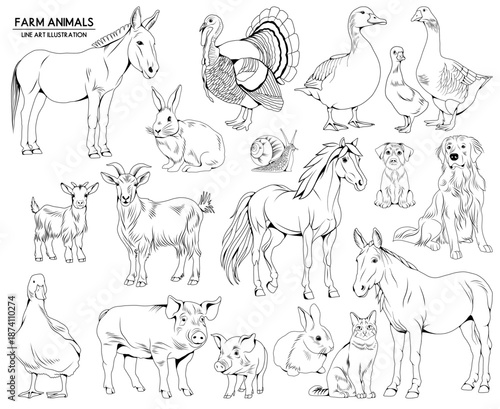 Quadro su tela Set of vector hand drawn farm animals illustrations, line drawing animal collect