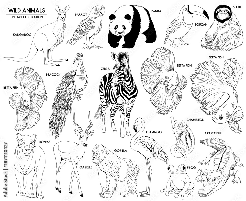 Fototapeta premium Set of vector hand drawn wild and exotic animals illustrations, line drawing animal collection 