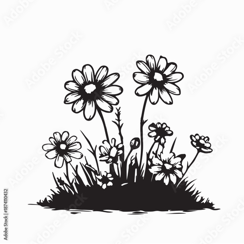 Cheerful Chamomile Flowers Growing in Grassy Image Vector