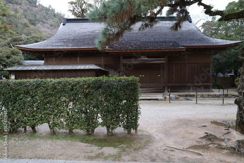 A Japanese shrine : a scene of the precincts of Izumo-taisha Shrine in Izumo City in Shimane Prefecture 