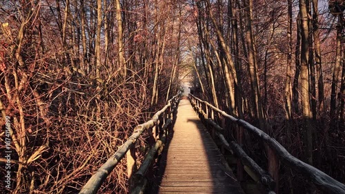 Wooden walkway through a winter forest at sunrise, surrounded by bare trees and warm early morning light, peaceful nature path.