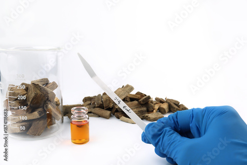 blotter papers in right hand is used in scent testing, essential oil , agarwood oud wood oil bottle for testing smell blending process for choosing nice scent for scented candles and perfume 