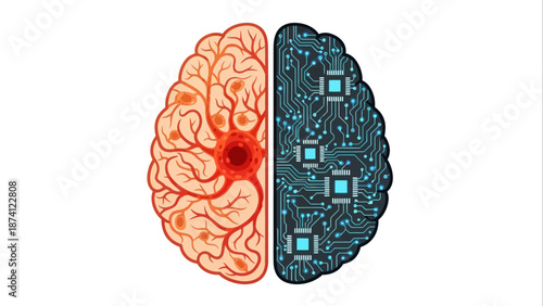 Conceptual flat vector illustration of a human brain, split into an organic biological side and a technological circuit board half, symbolizing health, AI, and neuroscience