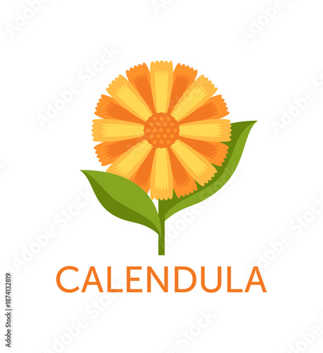 Calendula emblem - ingredient for skincare products. In flat colors