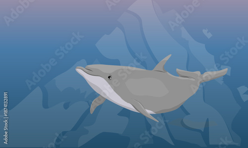 Common dolphin swim in dark warm sea water. Realistic vector underwater landscape