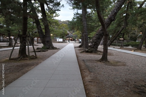A Japanese shrine : the scene of an access and an entrance gate torii to the precincts of Izumo-taisha Shrine in Izumo City in Shimane Prefecture