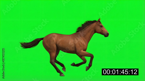 Brown horse running on green screen with timestamp