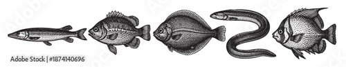 A collection of five black and white, vintage-style illustrations depicting various fish species and an eel, presented on a clean white background for versatile design use.
