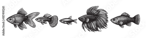 A collection of detailed black and white illustrations of various fish, rendered in a vintage, engraved style, perfect for design projects seeking a classic aesthetic.