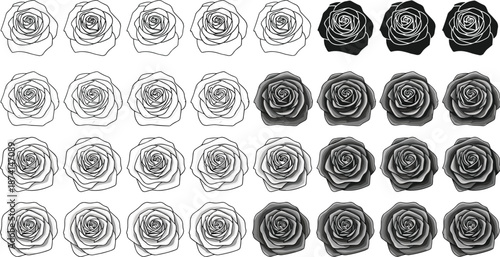 Hand drawn rose flower sketch collection showing blooming floral icons in black and white vector illustration set