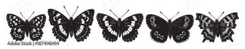 A monochromatic illustration features five detailed black ink butterflies arranged in a line against a stark white background, evoking a sense of vintage art and natural beauty.